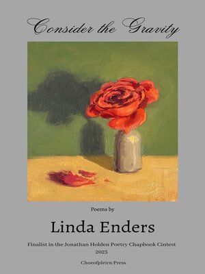 cover image of Consider the Gravity